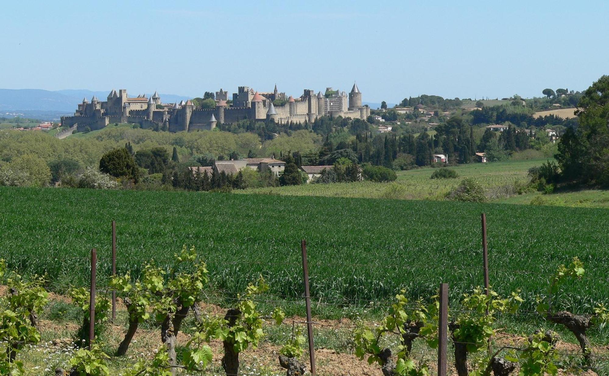 La Petite Chambre Du Lac Carcassonne Eksteriør bilde